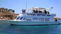 1-Hour Glass-Boat with Private Transfer from Sharm El Sheikh