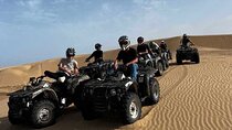 Agadir Quad Biking or Buggy Safari Desert