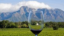 Cape Point and Groot Constantia Private Tour with Wine Tasting