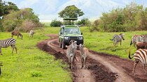 Aquila Safari Wildlife Experience Private Tour