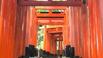 【Fushimi inari shrine】A local born in Kyoto shares the secret path away tourists