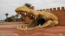 Croco Park Safari Adventure with Convenient Transfers – Agadir