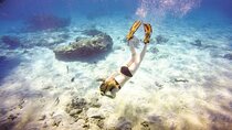 Full-Day Catamaran Snorkeling Tour with Lunch from Puerto Plata