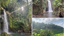 Ubud Waterfall Short Trip