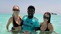 Mnemba Private Snorkeling Experience