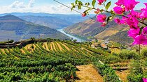 Douro Valley Wine Tour with Wineries, Lunch and Boat Trip