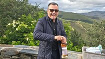  Douro Valley private tour full day 
