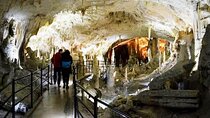 From Koper cruise Ship or Trieste to Postojna Caves Round Trip.