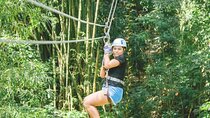 Dunn's River Falls and Park Tour with Zip Line from Montego Bay 