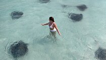 Grand Cayman 2-Stop Snorkeling and Stingray City Combo Adventure