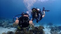 Racha and Coral Islands Scuba Tour by Speedboat from Phuket