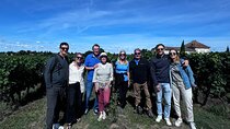 Visit Saint-Emilion and Pomerol:Vineyards, lunch and tastings included