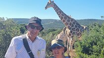 Private Full-Day Addo Elephant Park & Giraffe Walk 