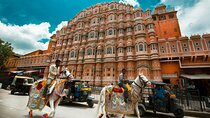 Jaipur Guided City Tour: City Palace, Jantar, Hawa & Jal Mahal