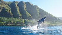 Dolphin Watch Cruise with Waterslide & Snorkeling on Oahu