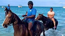 Horseback Ride & Swim guided Tour From Montego Bay with Pickup