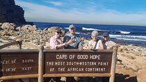 Cape of Good hope, Boulders and Chapman Peak Full Day Tour
