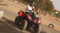 Quad Bike and Camel Ride in Marrakech Palmeraie