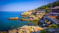 Busan KTX train One day tour from Seoul including blue line train
