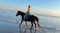 Seminyak Horse back riding In the beach