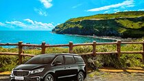 Jeju Private Car Charter Tour