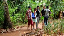Jozani Forest and Spice Farm Tour in Zanzibar
