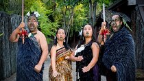 Rotorua Cultural & Geothermal Small Group Tour From Auckland