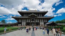  Explore Nara in a Day Van Tour from Kyoto
