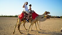 1 Hour Camel Ride and Jeep Adventure with Stargazing in Hurghada