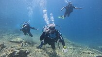 Scuba Diving Experience for Beginners in Greece