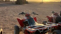 Marrakech palmeraie Quad Bike Experience with transfers