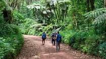 Marangu Route Kilimanjaro 6 Day Expedition