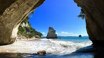 Cathedral Cove & Coromandel, Small-Group Tour from Auckland 