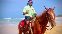 Horse Back Riding Adventure in Punta Cana