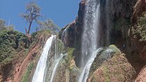 Marrakech to Ouzoud Waterfalls Day Tour 