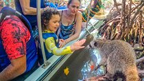 Guided Tour of Barú Island and Mangroves