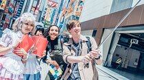 Akihabara Vacation Package by an interpreter guide and cosplayer