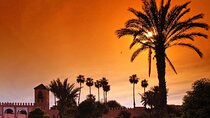 Sunset Camel Ride Marrakech Palmeraie