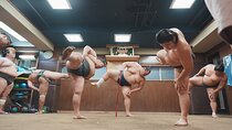 Unique Afternoon Live Sumo training tour in Tokyo 