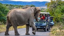 4 Day 3 Night Safari package with Transfers