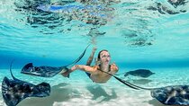 Grand Cayman Stingray City Sandbar Adventure