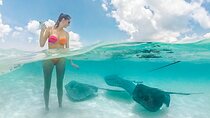 Stingray City and Two Reef Snorkeling Cayman Adventure