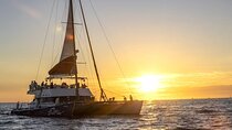 Cabo Cruise Sunset Adventure: Tacos, Margaritas & Sea Lions