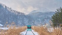 Nami Island One Day Trip with Gangchon Rail Bike from Seoul
