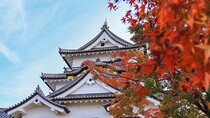 Explore the Historic Castle Town of Hikone from Osaka