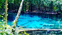 Emerald Pool: Jungle Tour, Private Full Day with Lunch