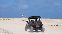 2-hour 4-seater Buggy experience in Fuerteventura