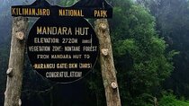 Mount Kilimanjaro Day Hike Up to Mandara Hut