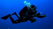 Dive Deeper, PADI Advanced Diving Course :Marsa Alam