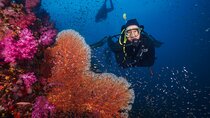 Scuba Liveaboard 2 Days 1 Night Dive Trip from Khao Lak 